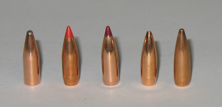20 Caliber Bullets