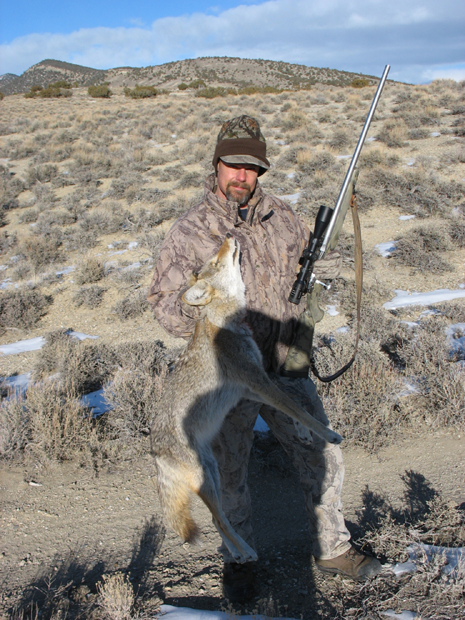 DAA with first coyote taken using Unmussig 38 gr.