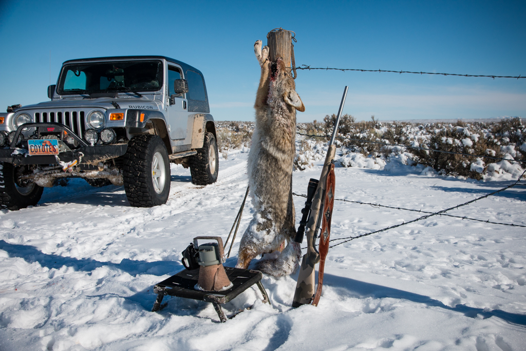 Winter Coyote and Jeep