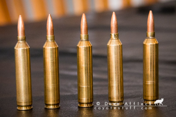 New 30 Golds loaded in .17 Predator cases, ready to shoot