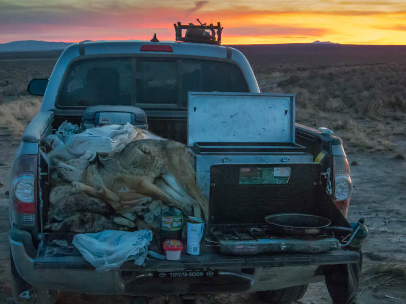 Cookstove on the tailgate