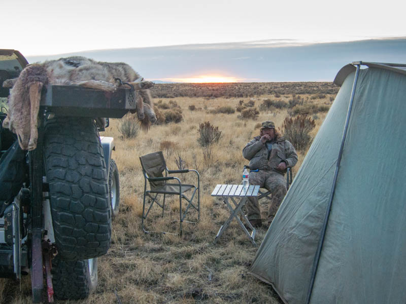 Coyotes on the rack and a cozy camp