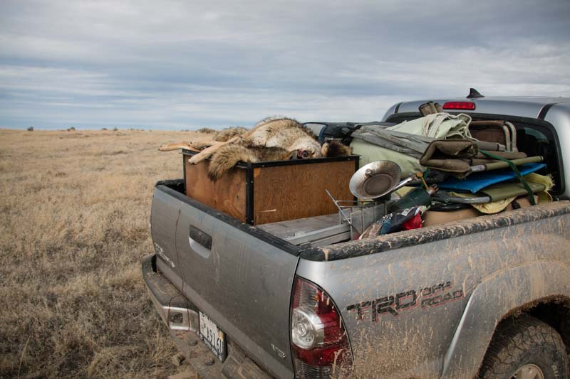 Coyote camp packed in Tim's Tacoma