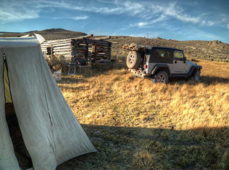 Long abandoned pasture 