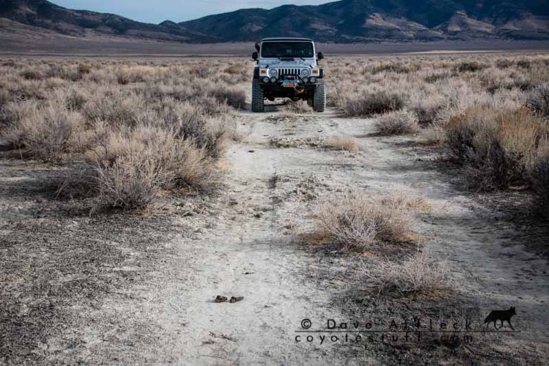 Roped up road